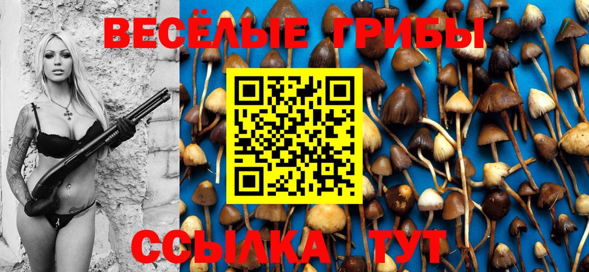 Псилоцибиновые грибы прущие грибы Канаш