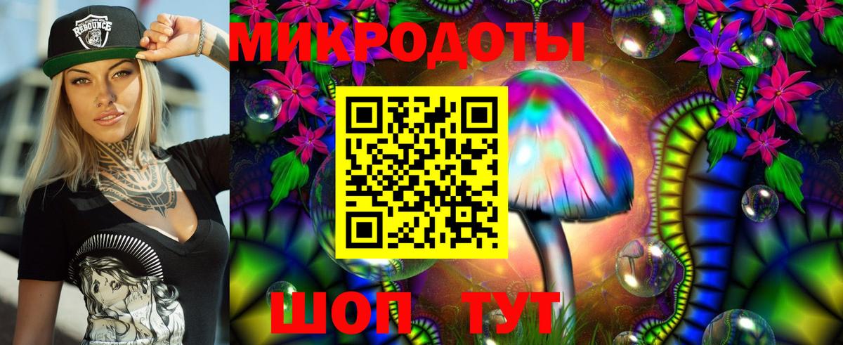 Канаш  Псилоцибиновые грибы GOLDEN TEACHER  Псилоцибиновые грибы мухоморы  Вход с VPN 